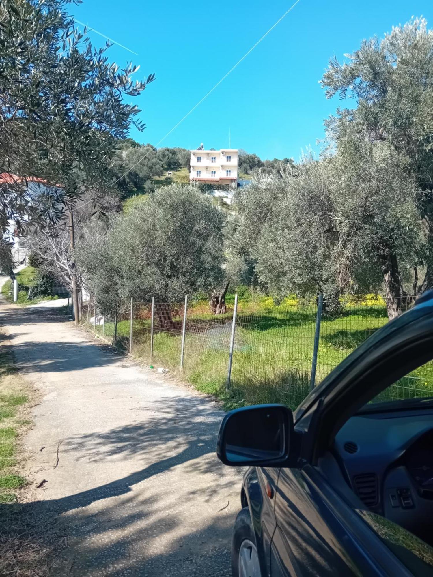 Villa Krini Skiáthos Eksteriør bilde