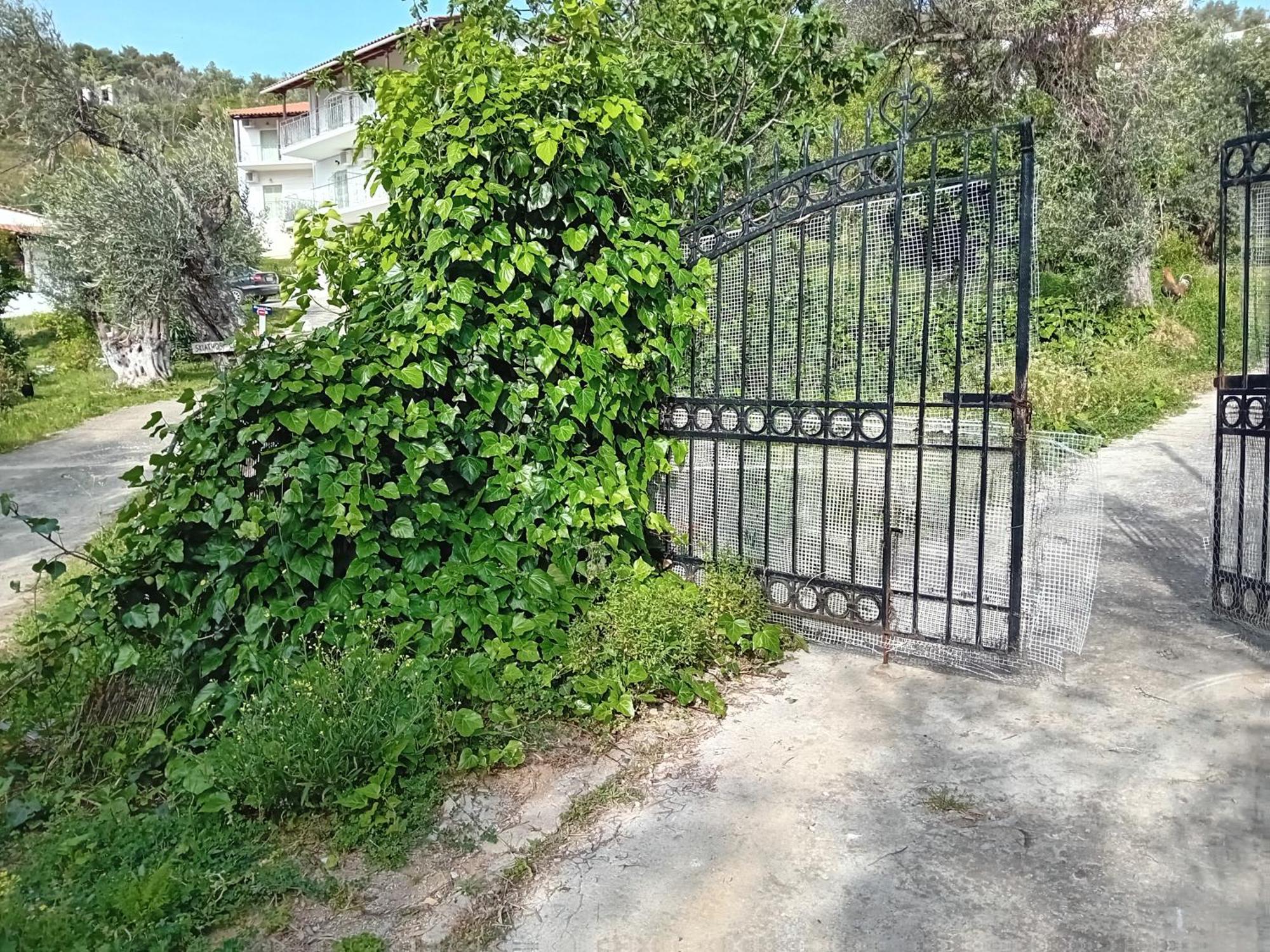 Villa Krini Skiáthos Eksteriør bilde
